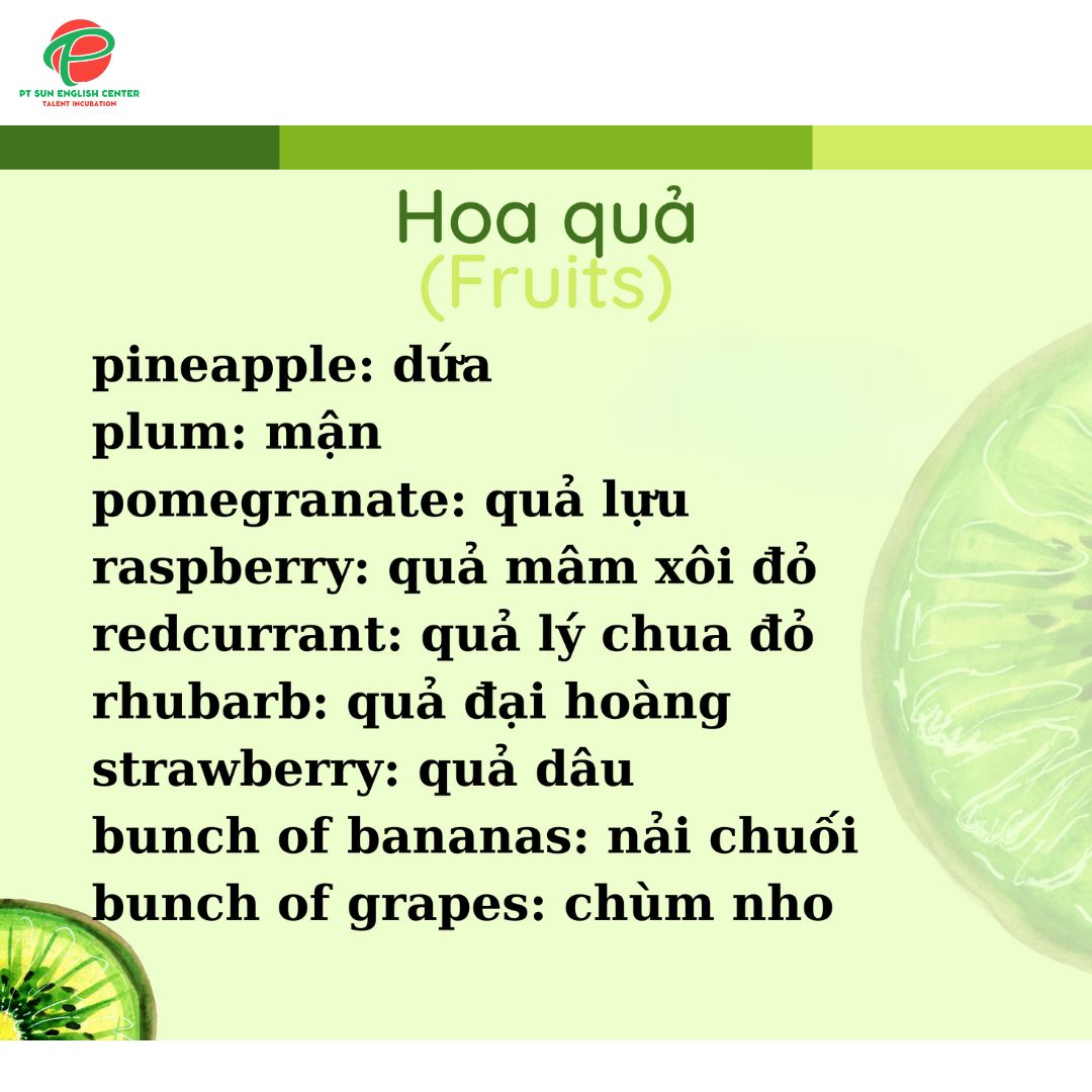 CÁC LOẠI QUẢ BẰNG TIẾNG ANH